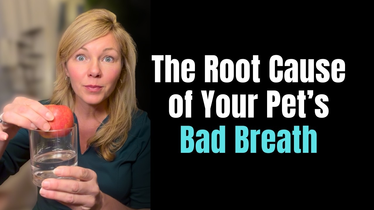 How to Fix Dog Breath Without Anesthesia or Expensive Cleanings