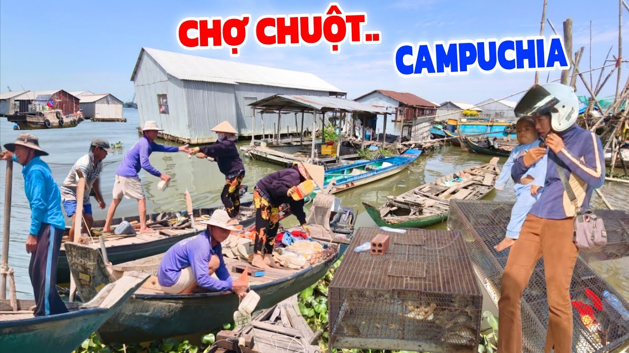 Hết hồn Chợ CÁ CHUỘT Đồng Campuchia biên giới Đồng Tháp/ nghề Bà Cậu sông Tiền