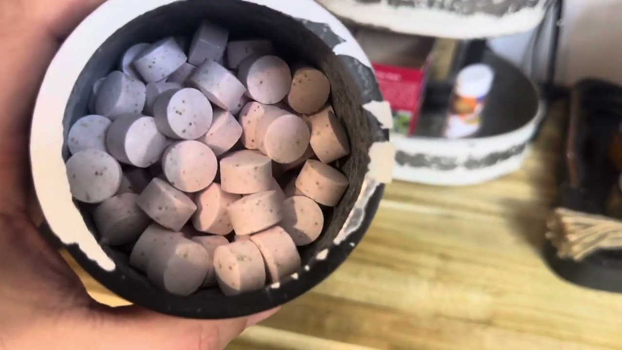 Детальный обзор: жевательные таблетки Animal Creatine Monohydrate