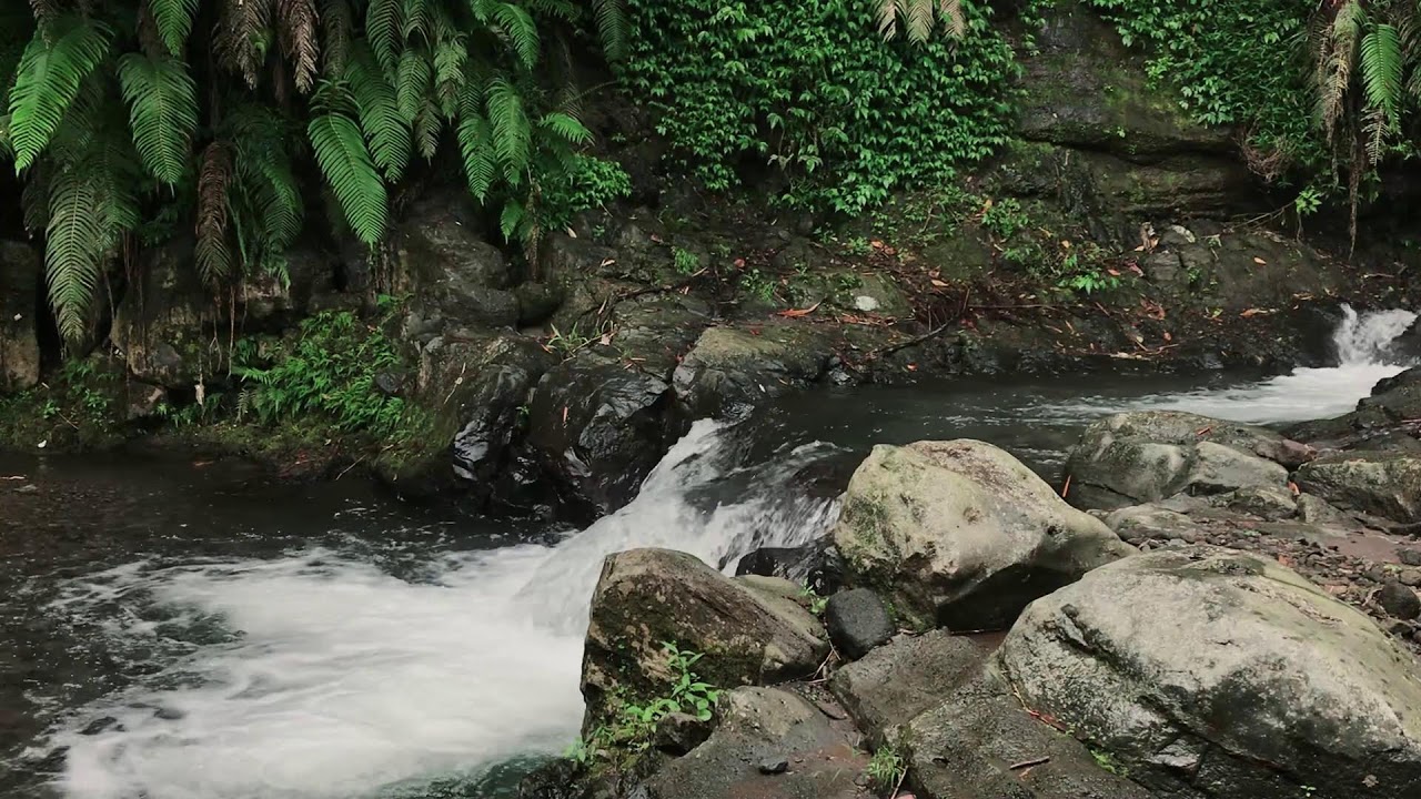 Wilderness Water for Cognitive Performance, Stress Relief