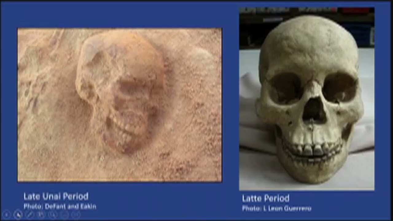 DNA evidence definitively links modern CHamorus to eastern Indonesia