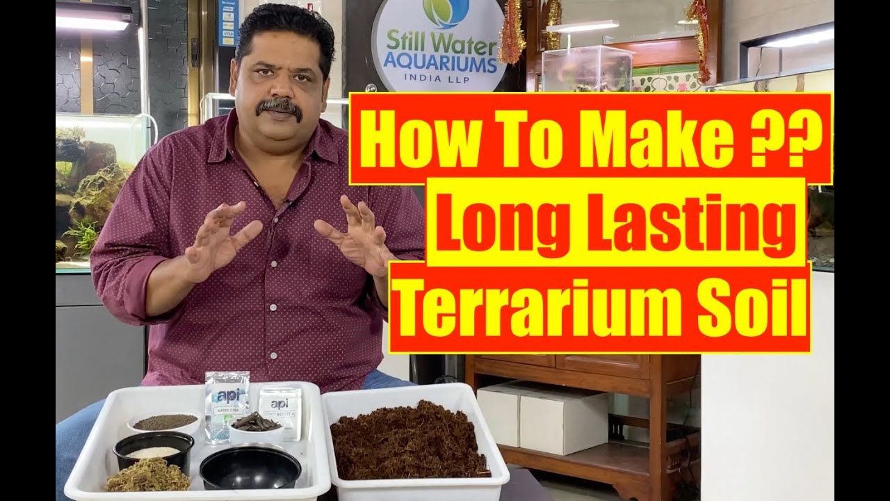 How to Make: Terrarium | Indoor Garden & Terrarium Soil | Mayur Dev Aquascaper | Nature Terrarium 4K