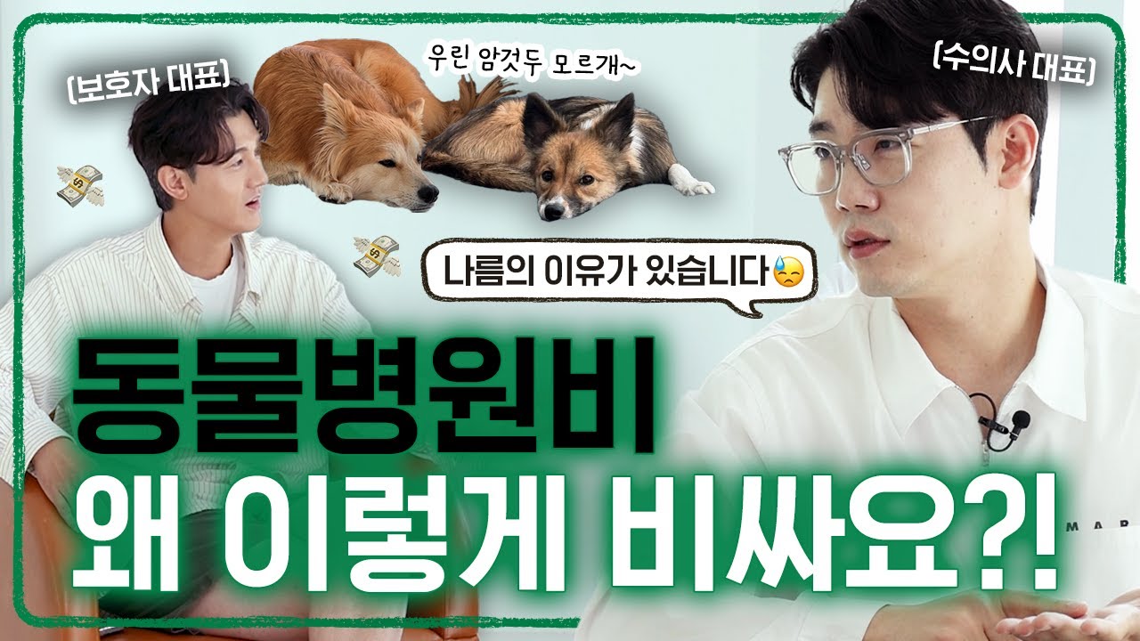 펫보험 꼭 들어야 할까요? 🤨 | 설채현 행동학 수의사