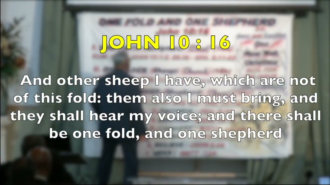 ONE FOLD AND ONE SHEPHERD