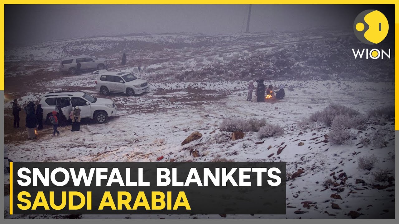 Saudi Arabia: Rare Snowfall Blankets Saudi Arabia's Ha'il  | WION