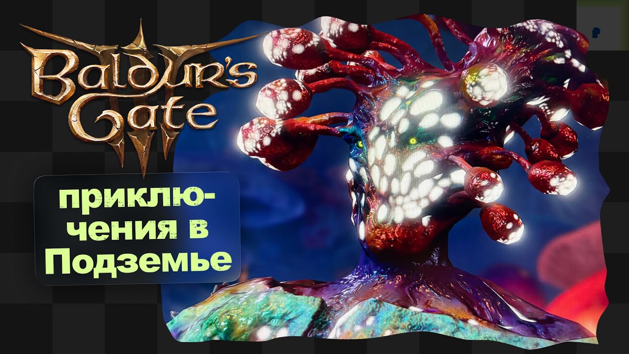 Baldur's Gate 3 / 9 / Подземный миротворец