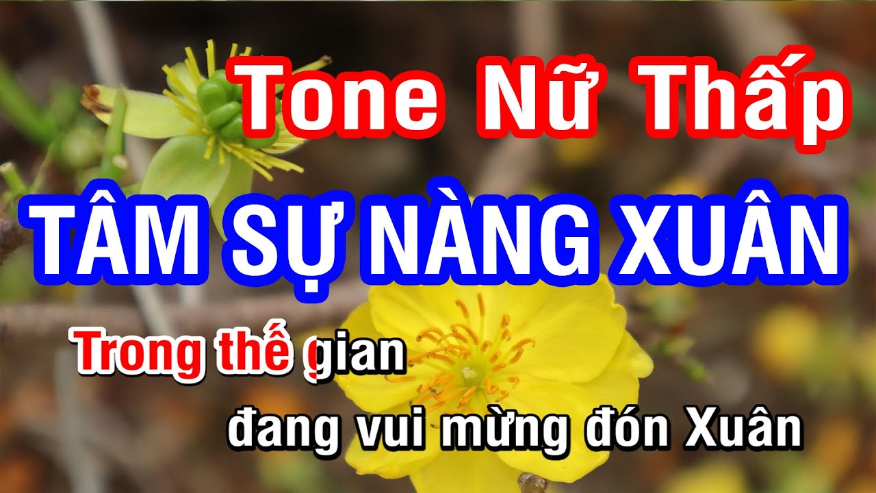 Karaoke Tâm Sự Nàng Xuân Tone Nữ
