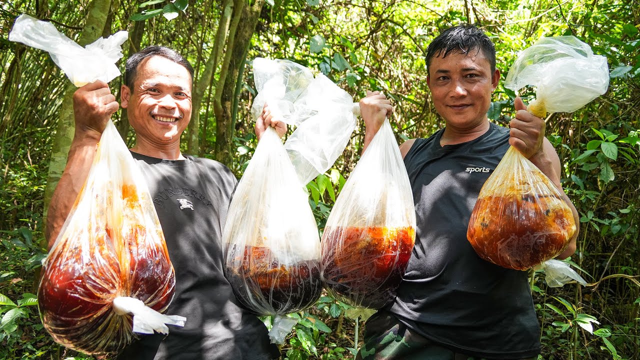 Một Ngày Bội Thu