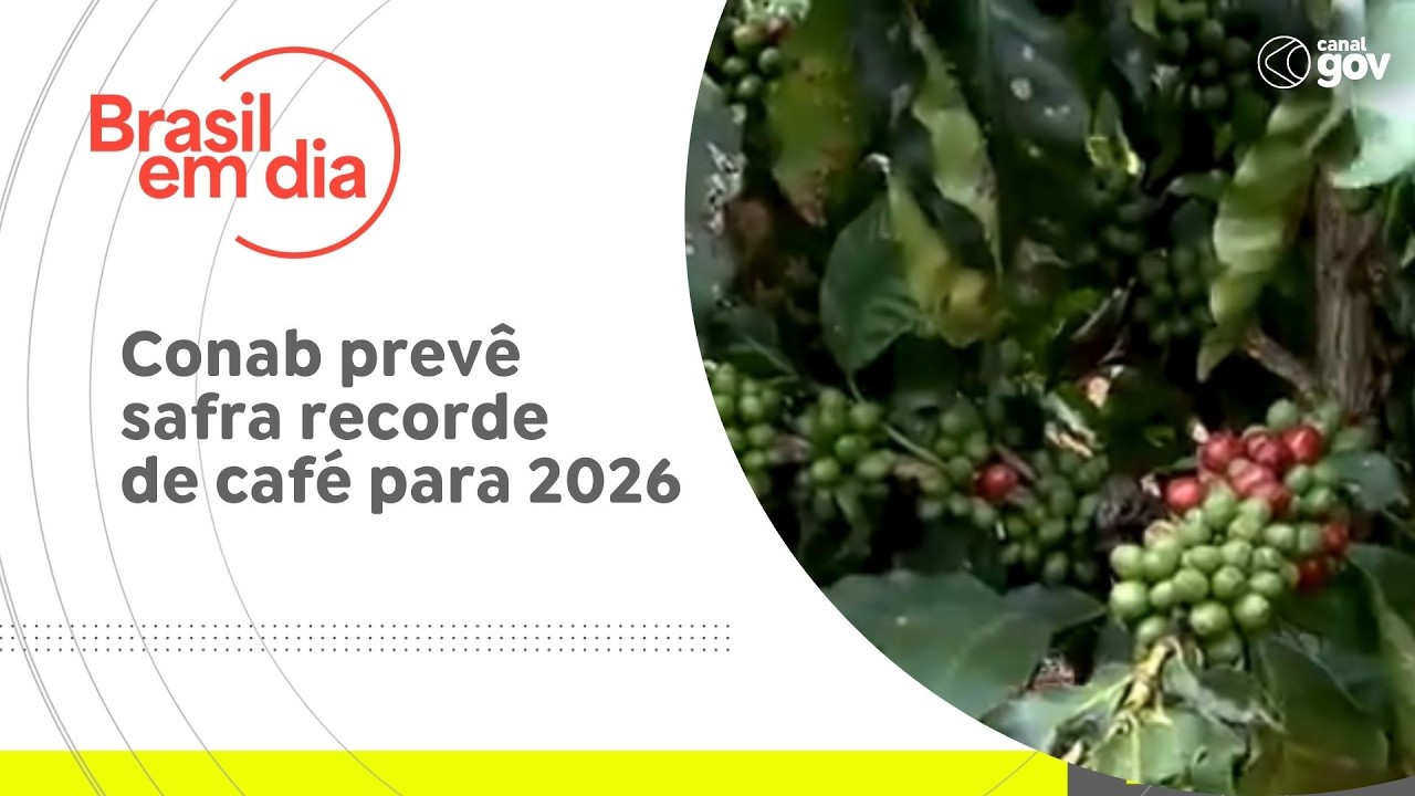 Conab prevê safra recorde de café para 2026