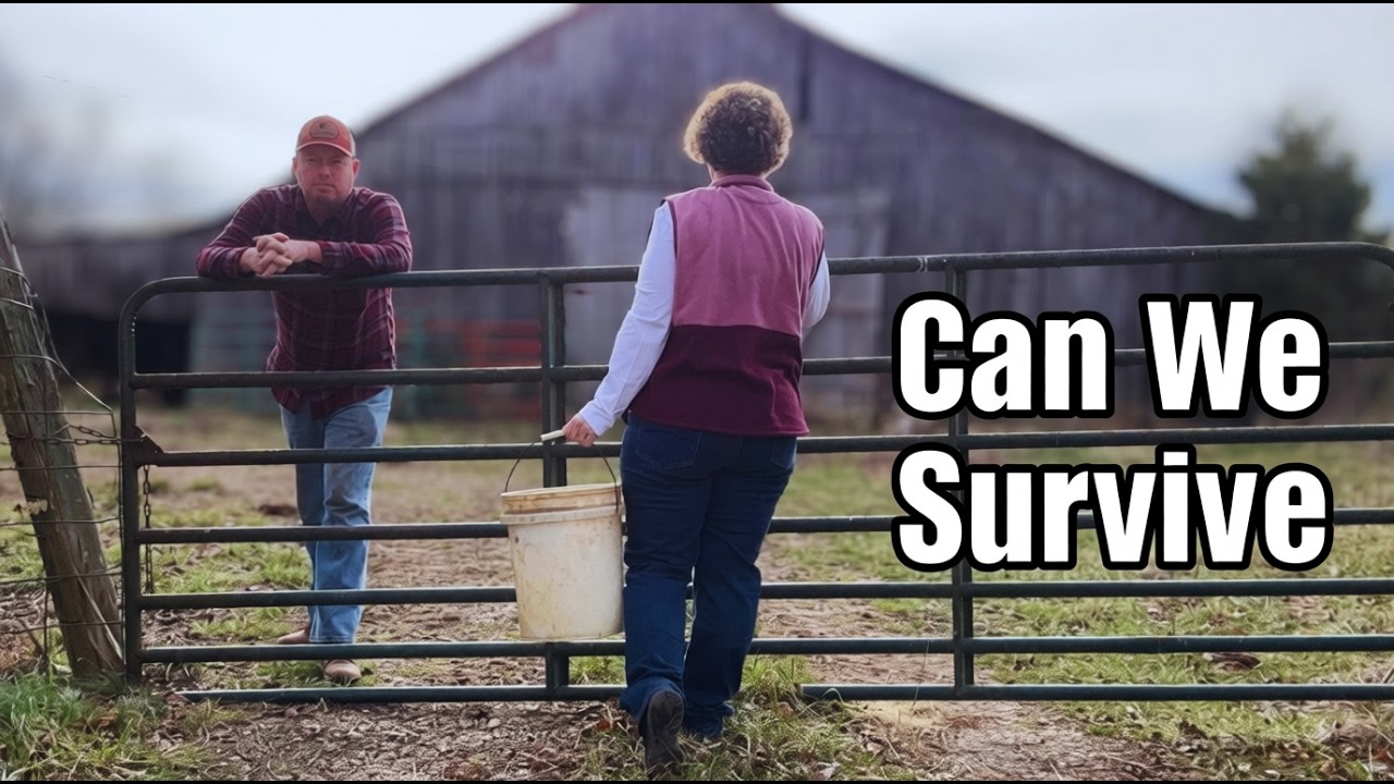How We Homestead Over 40 While Working Full-Time Off the Farm