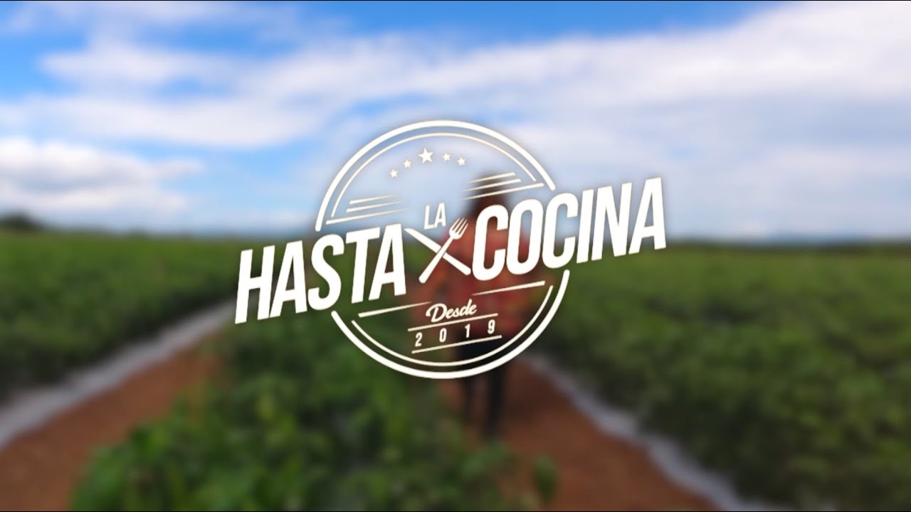 Chiles Rellenos de Ensalada de Atún (4 De Julio)
