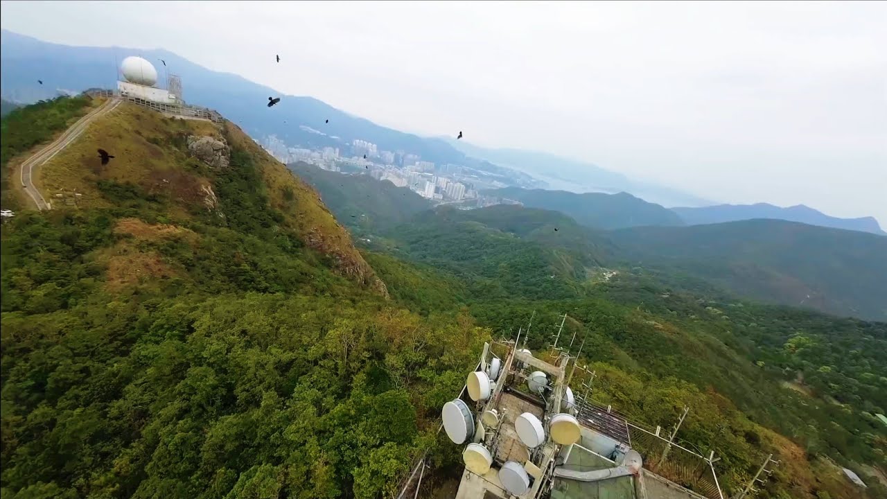 Master 3X ~ 飛鵝山群鴉