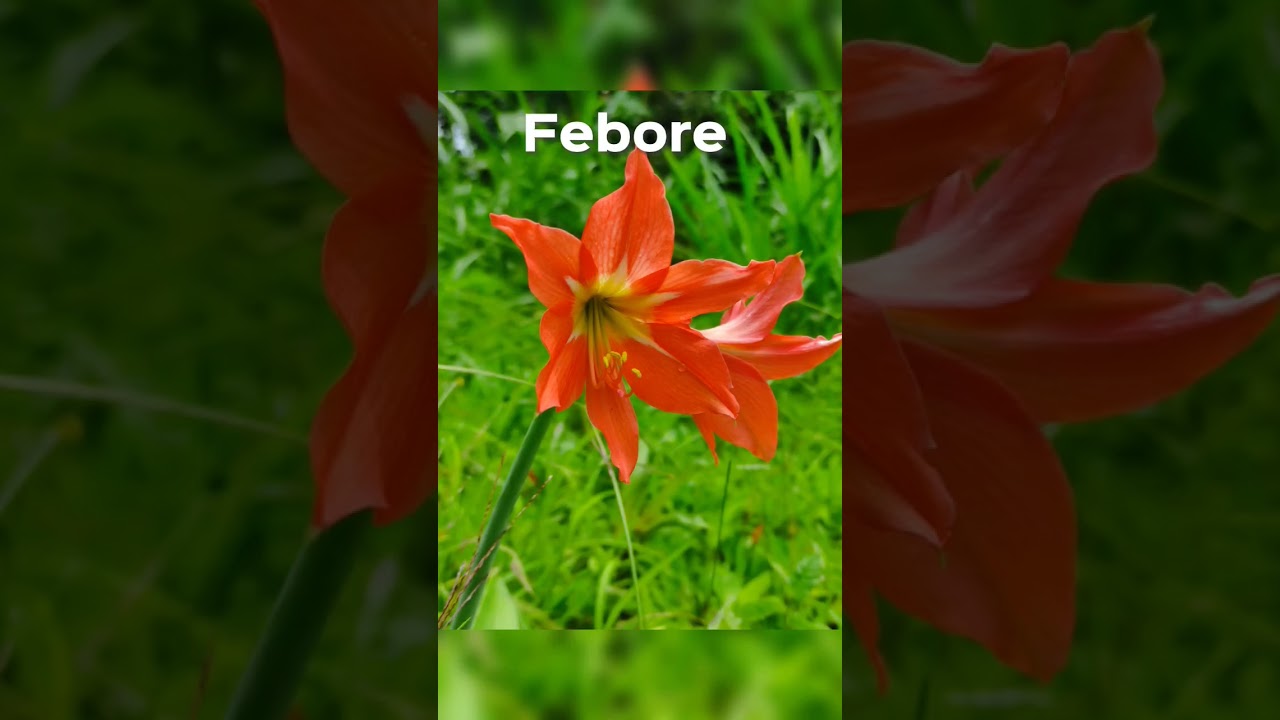 antes y despu&eacute;s de una fotograf&iacute;a retocada