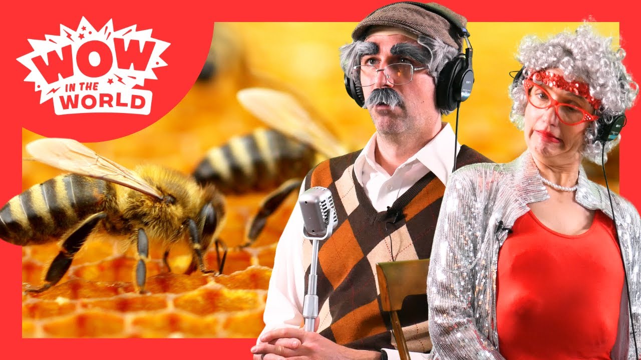 The Scientific BUZZ on Bees 🐝 | G-Force & Fingerling React | Wow in the World PODCAST Full Episode 🎧
