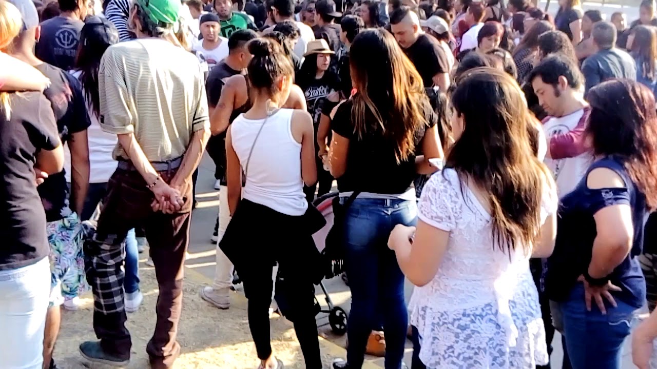Banda bostik ecoparque col la presa exceso de droga