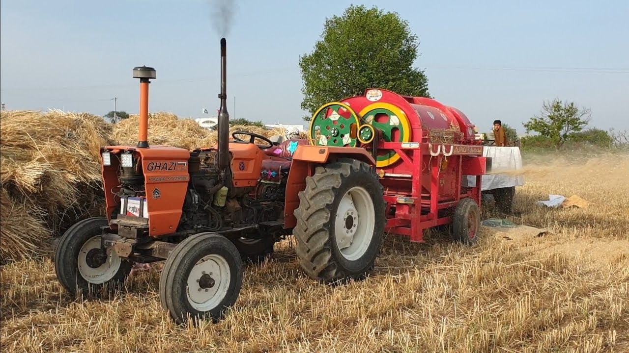 Cutting Harvesting Wheat With Thresher On Ghazi Tractor | Agriculture In Pakistan