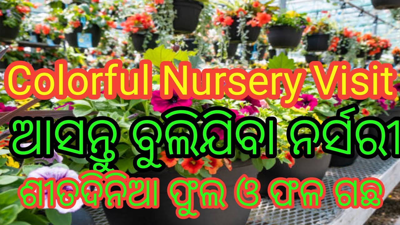 Nursery Visit, ଆସନ୍ତୁ ବୁଲିଯିବା ନରସେରୀ 