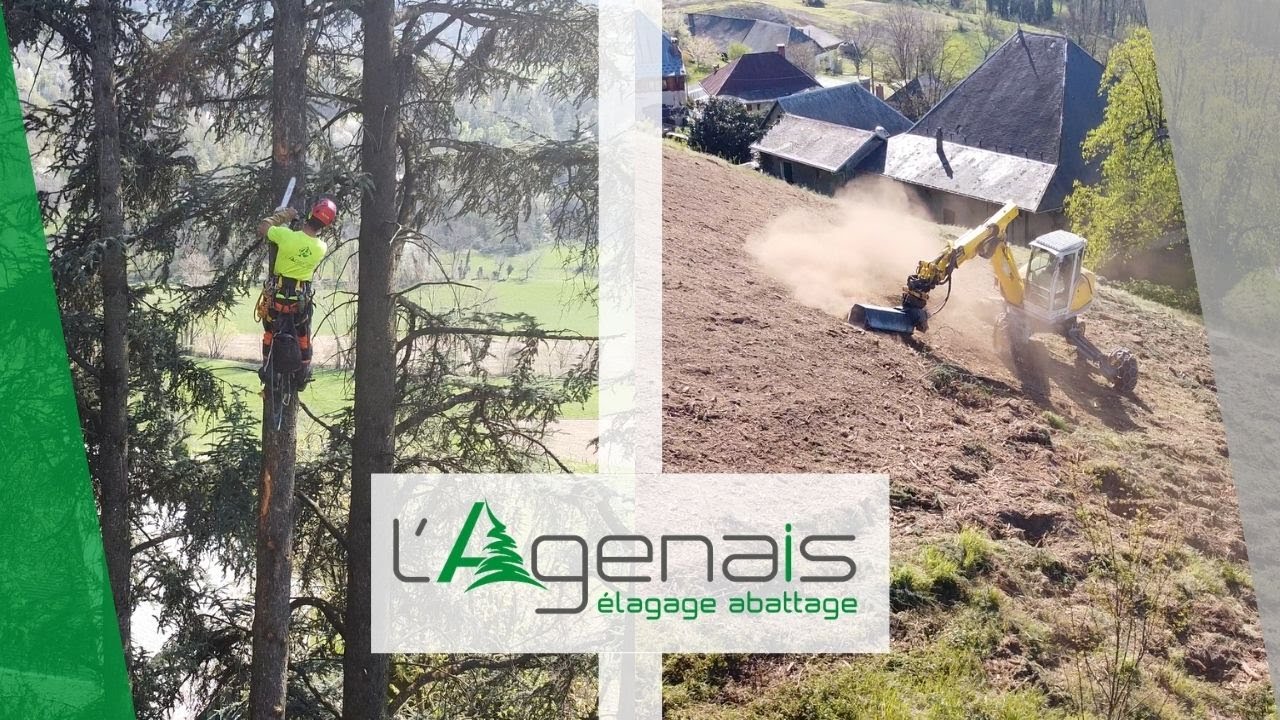 Grimpeurs et pelle araignée en parfait accord - L'Agenais Élagage