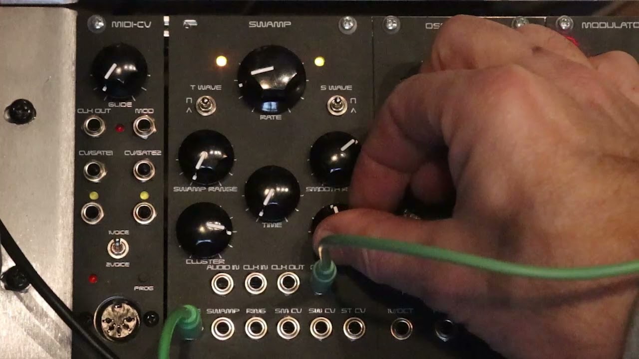 Erica Synths SDIY SWAMP Module - WoggleBug - Massive Random Generator!