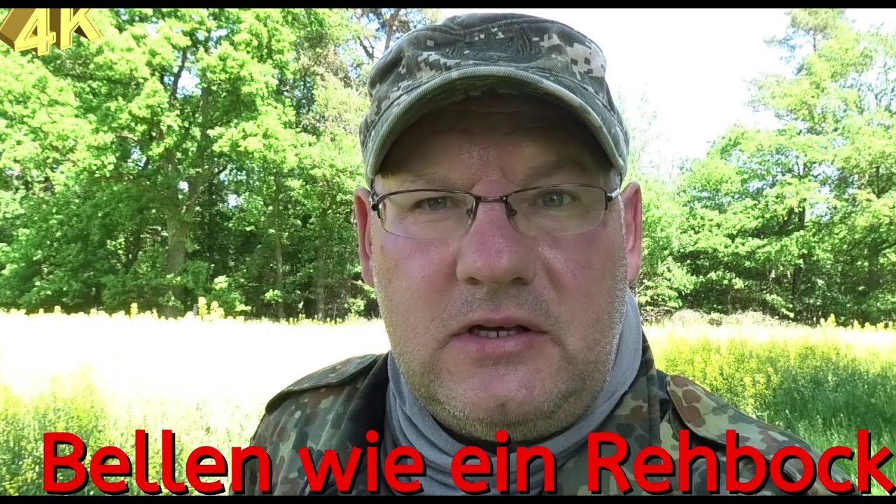 Bellen wie ein Rehbock   Bark like a roebuck