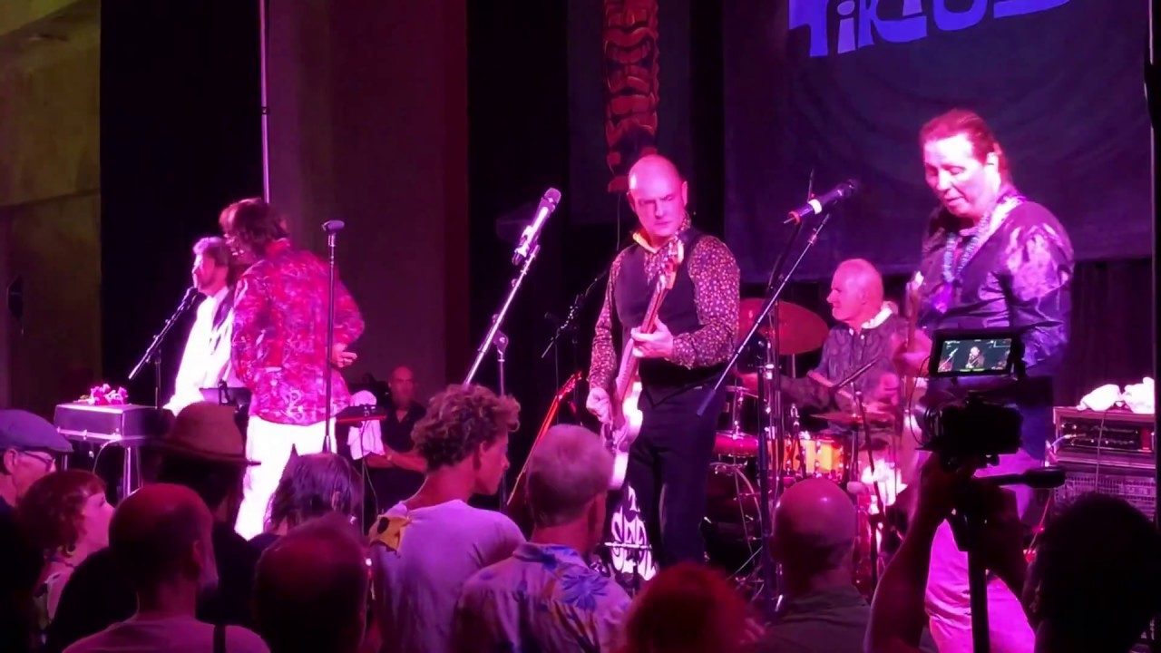 The Seeds - Pushin' Too Hard - Tiki Oasis 2018