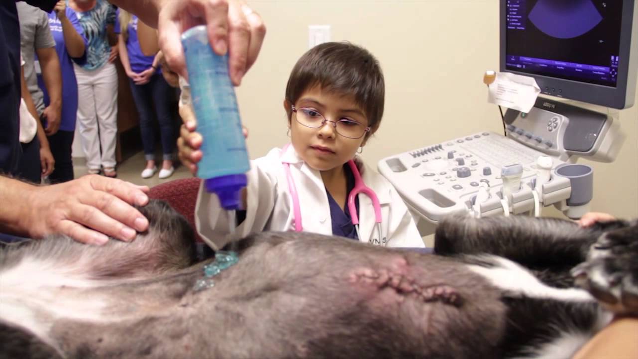 Nominee's Wish To Be A Veterinarian