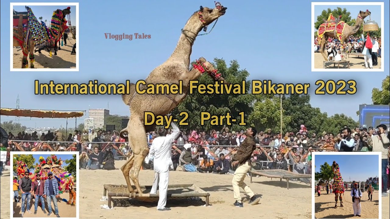 Breathtaking Camel Dance at International Camel Festival Bikaner || Day-2 Part-1 || Vlogging Tales