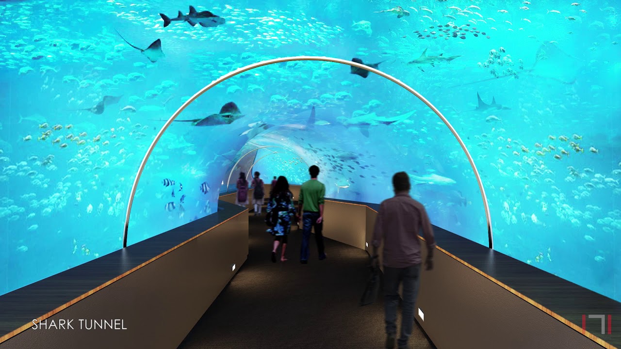 Sneak peek of the mesmerizing Aquatic Gallery to be built at Gujarat Science City