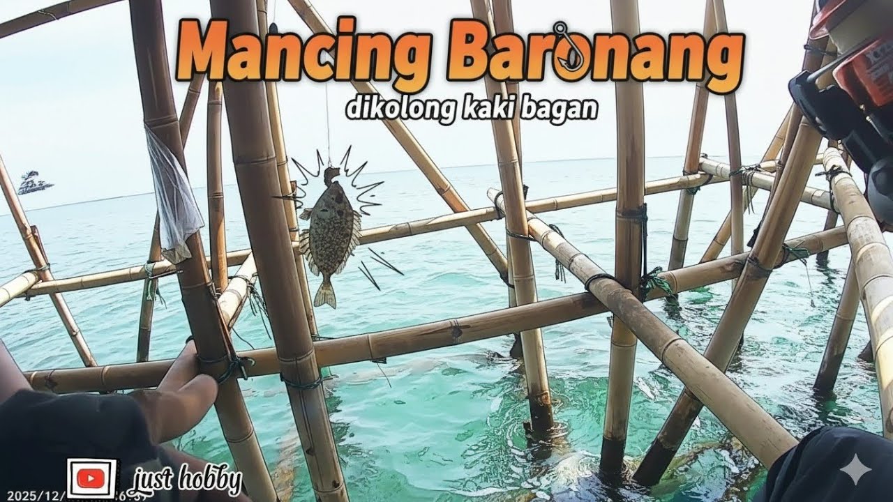 Seru Mancing Baronang dikolong Bagan