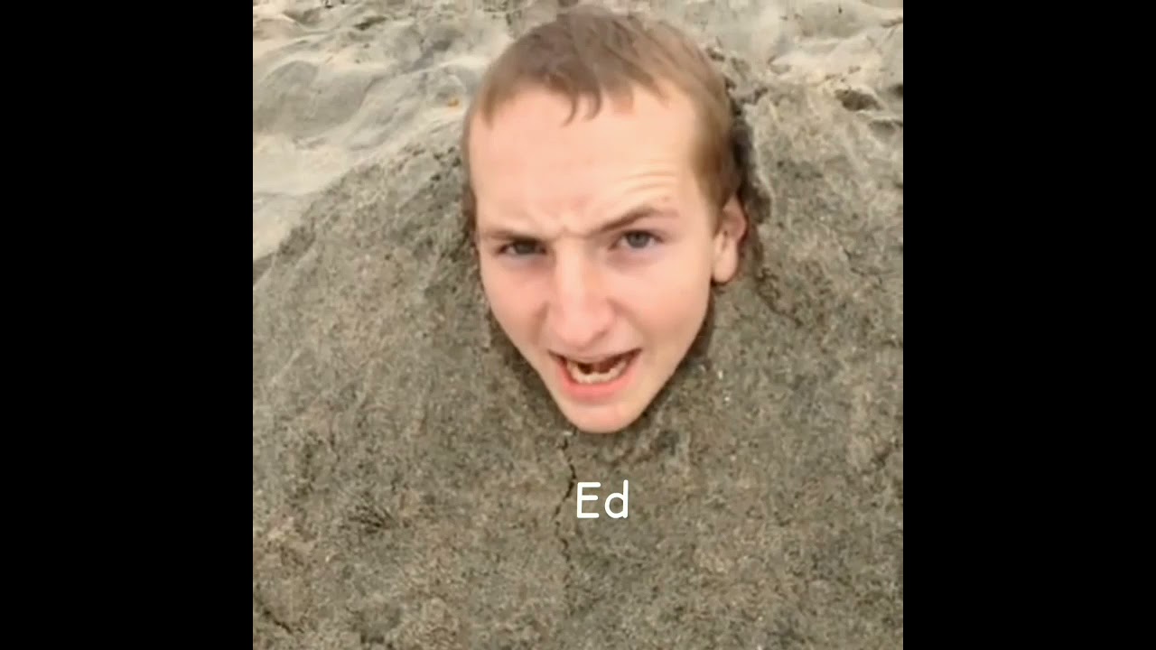 FMA 2003 as vines