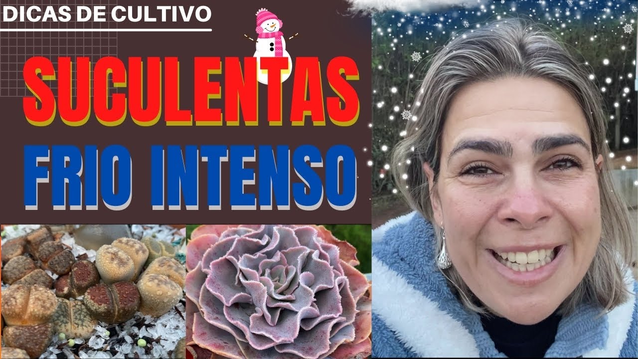 COMO proteger as SUCULENTAS no FRIO INTENSO: ESQUEMA TE VIRA LINDA/Grazi Bittencourt