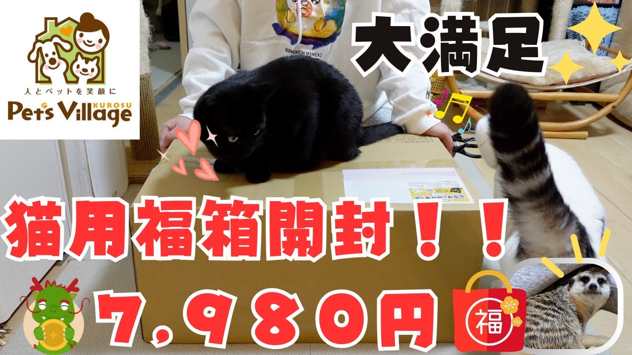 【猫用 福袋 2024】1万9千円相当！2024年猫用の福箱を開封してみたよ！😺