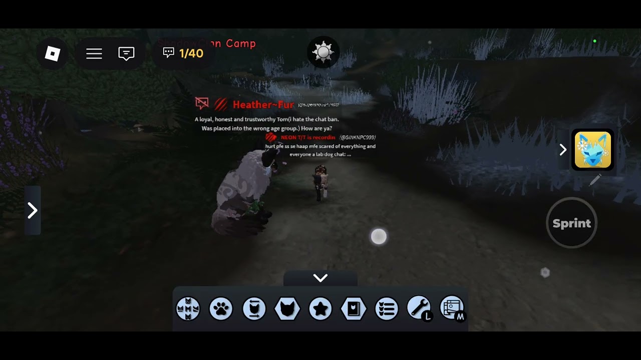 Hi! Playing wcue!