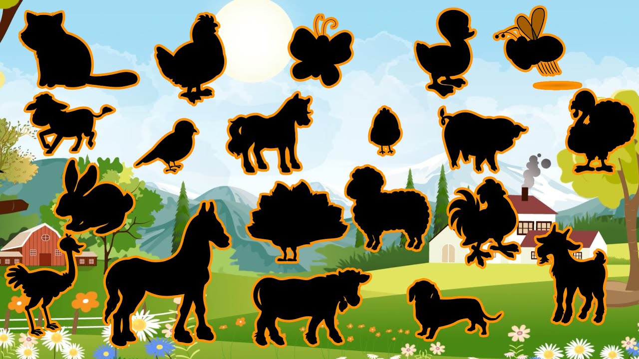 Que animal da Fazenda é esse? Descubra os animais pela sombra! 🤔🚜