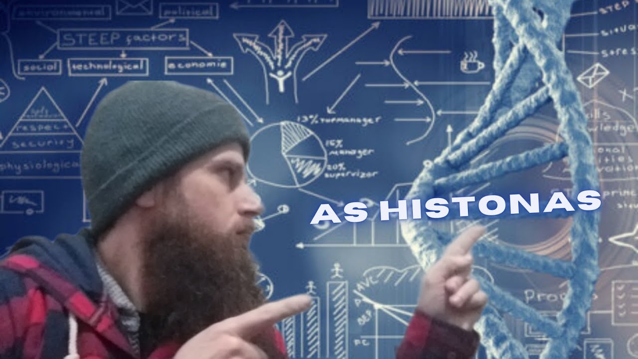 O que s&atilde;o Histonas ?