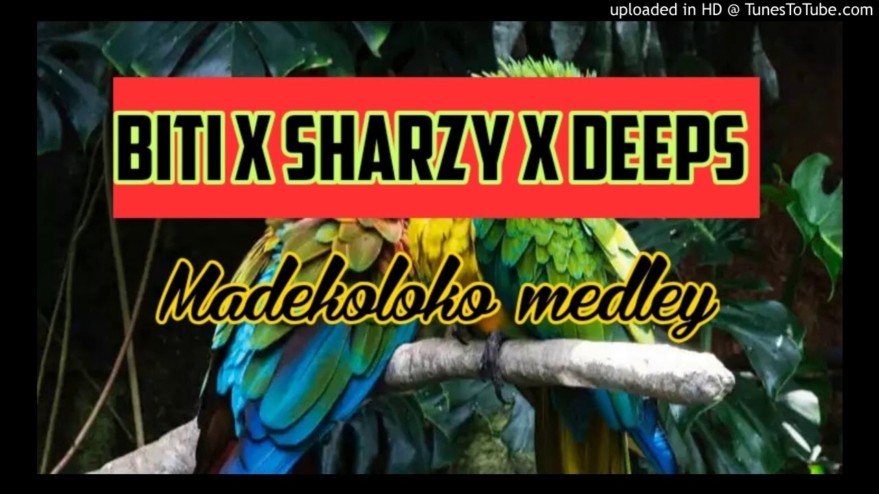 BITI x SHARZY x DEEPS - Madekoloko medley (ROVIANA HITS 2020)