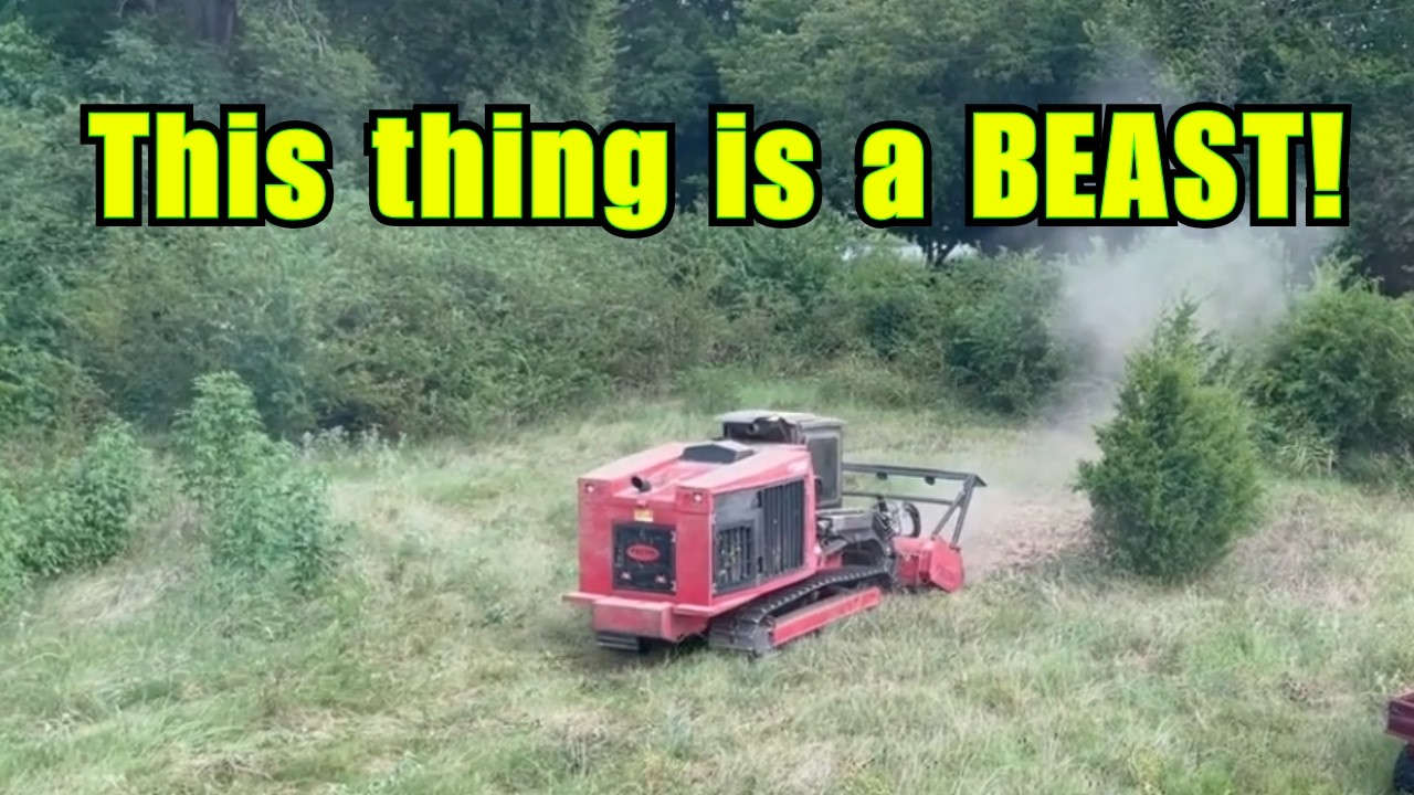 Land Clearing with a FECON FTX-150: Watch This Beast in Action!