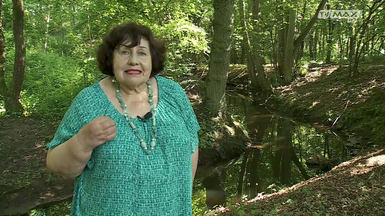 Okolice przyrody - 2019.06.29 - Połczyn Zdr&oacute;j rzeka Wogra - cz.1