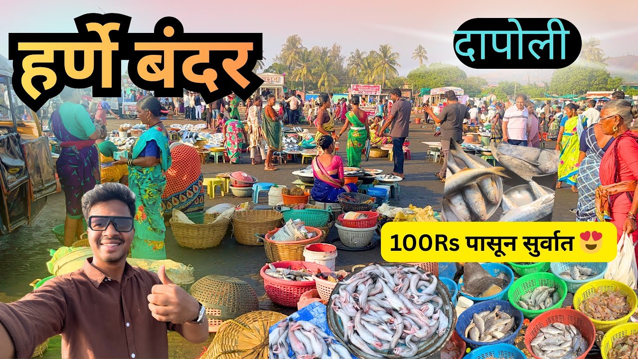 हर्णे बंदर 🐟| harne bandar fish market | dapoli harne bandar | dapoli fish market | 🐠🐟 |हर्णे दापोली