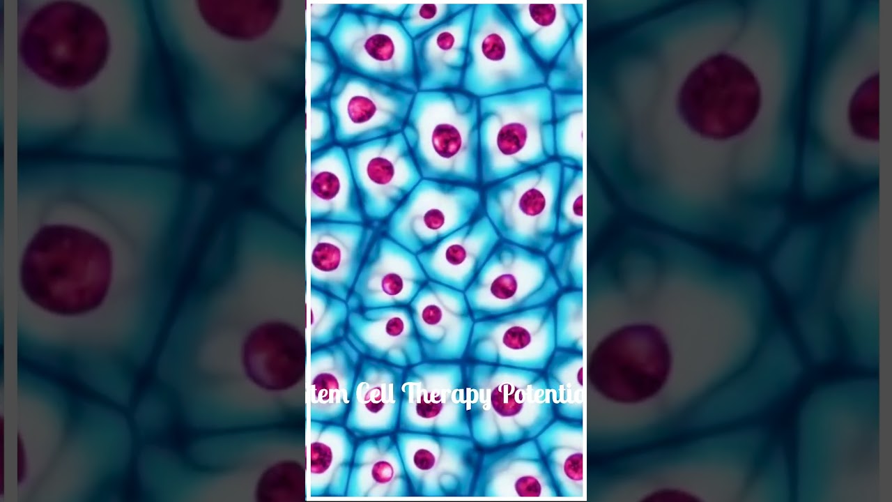 Regenerating the Optic Nerve: The Future of Eye Treatment | Stem Cells |
