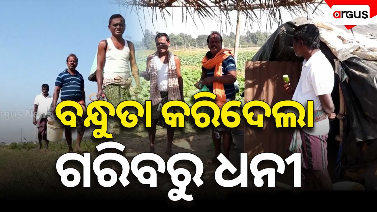 3 Friends Turn Self-Reliant Through Farming | ସ୍ୱାର୍ଥପର ଦୁନିଆକୁ ଦେଇଛନ୍ତି ମଣିଷପଣିଆର ବାର୍ତ୍ତା