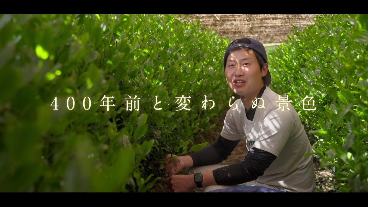 市内産宇治茶ＰＲ動画～心潤す宇治のお茶～　ショート動画