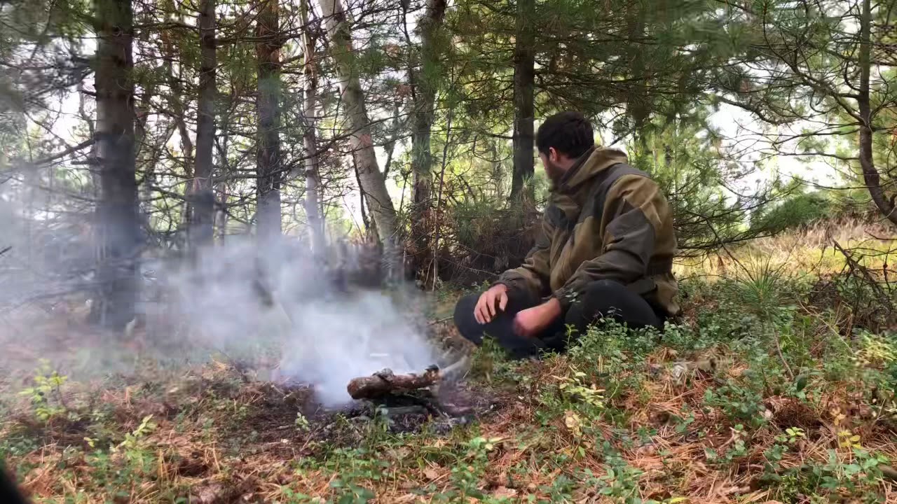 Как у меня появился Канадский волк