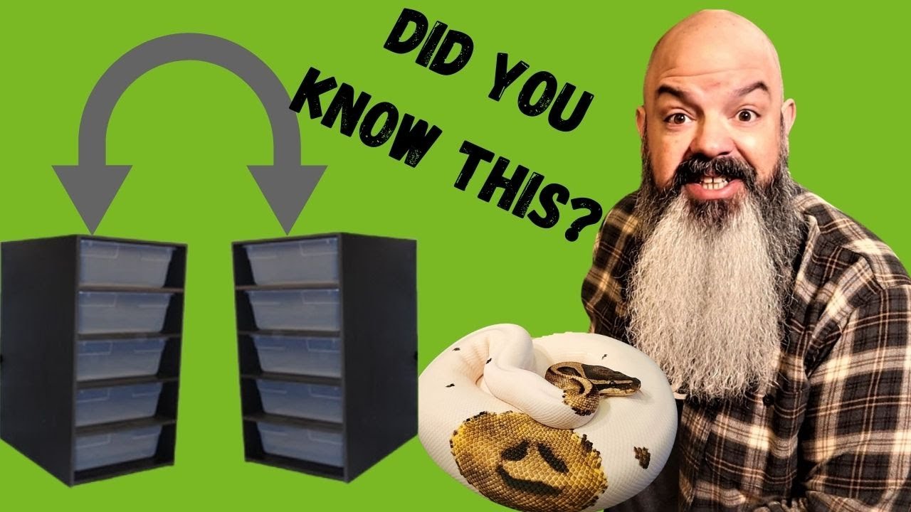 I Got A new Snake Rack: Review, Setup and SECRET TIP!