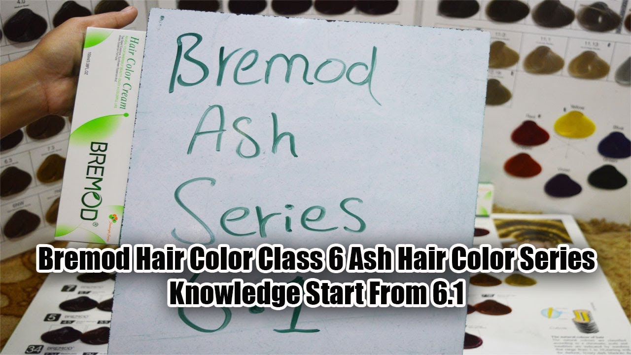 Bremod Hair Color Class 6 Ash Hair Color Series Knowledge Start From 6.1 By The Stylish Mod