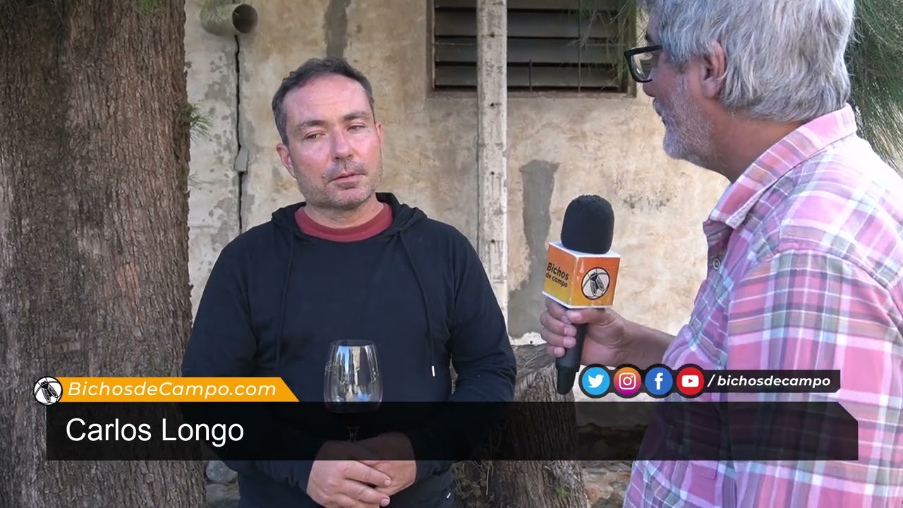 Carlos Longo, productor de vinos 