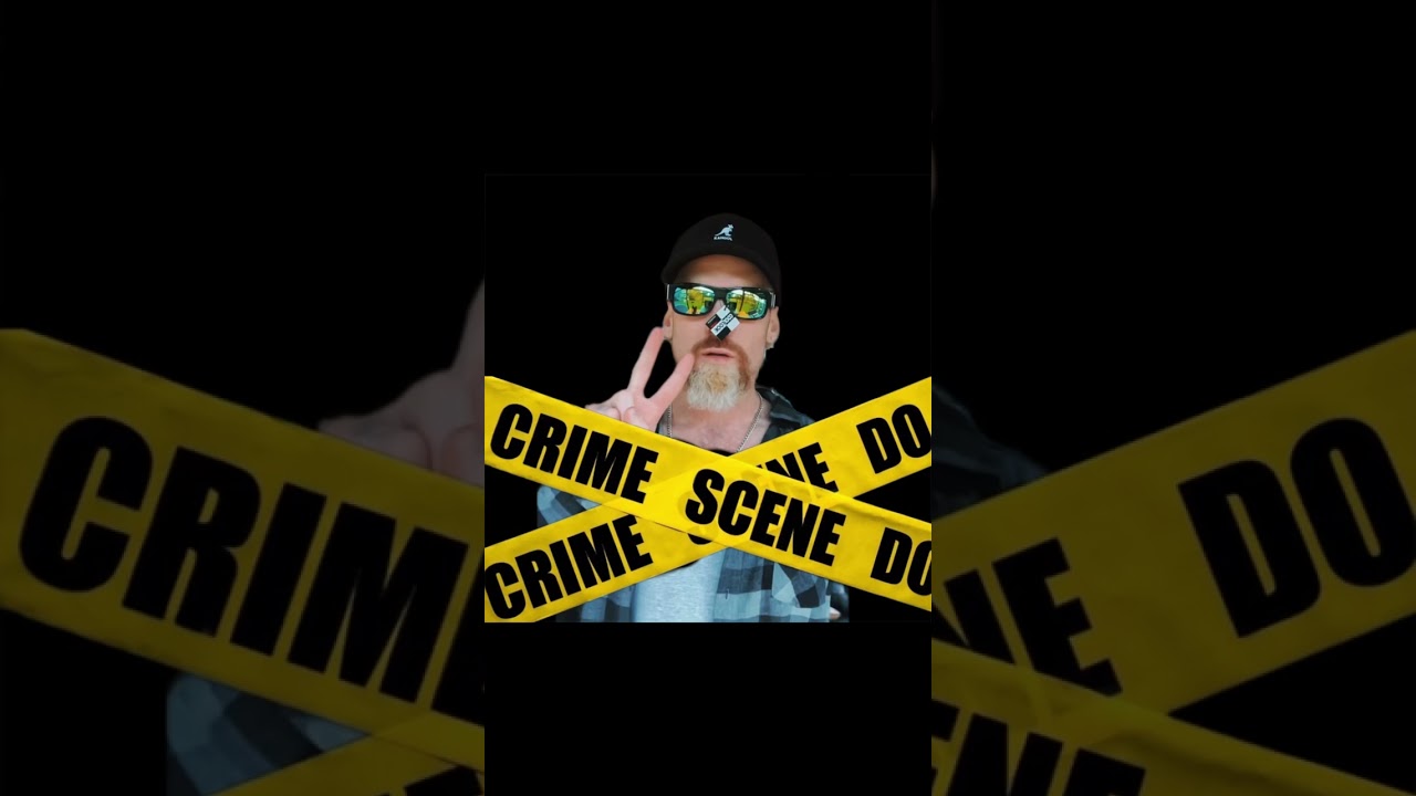 Burd Brain - 6163 Criminal (“Britney Spears Criminal” Parady Remix)