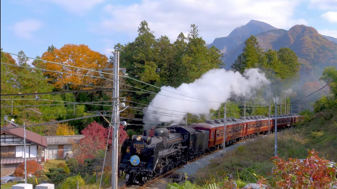【SLパレオエクスプレス】C58 363 + 12系客車　紅葉　ティアラ21ヘッドマーク2025/11/16