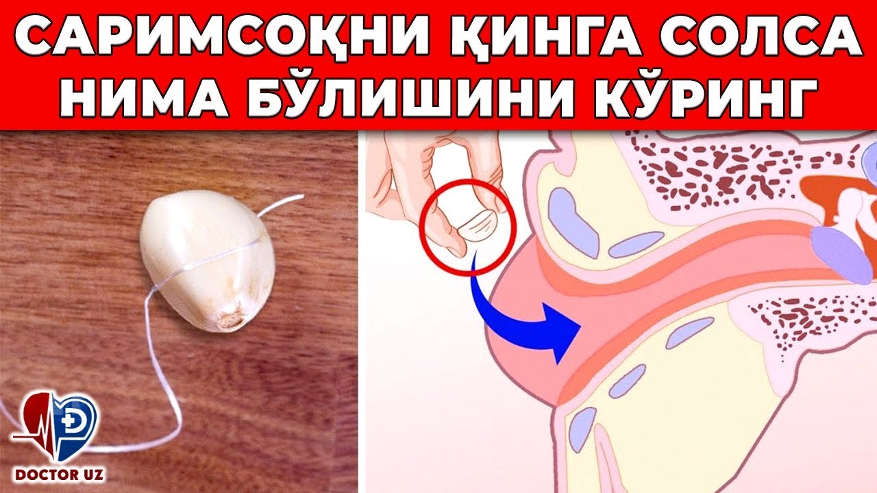 САРИМСОҚНИ ХАР КУН ... ҚИЛИНГ ВА НИМА БЎЛИШИНИ КЎРАСИЗ!