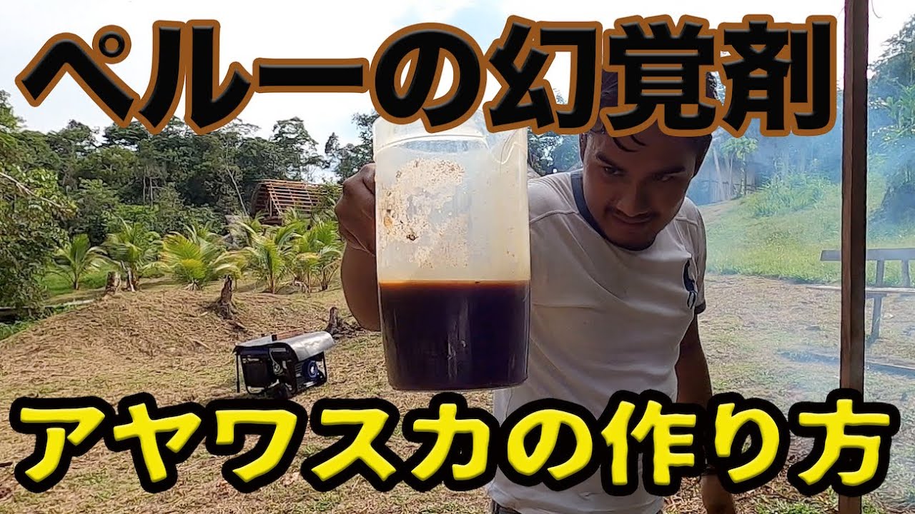 【第2話 アヤワスカ体験記】最強の幻覚剤とも言われるアヤワスカ。葉っぱを5時間煮込んで作りました【南米 ペルー イキトス】How to make ayahuasca
